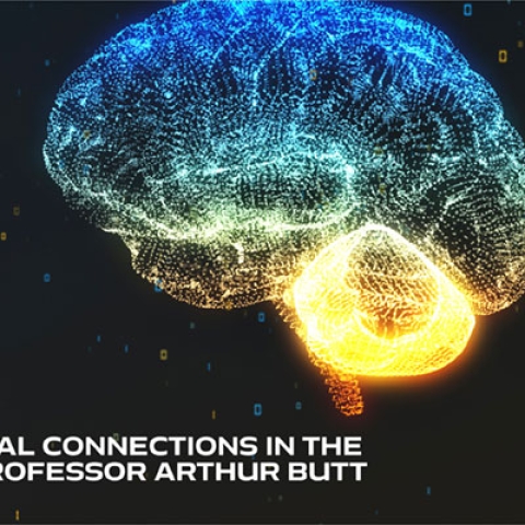 Life Solved Episode 8: Vital Connections in the Brain