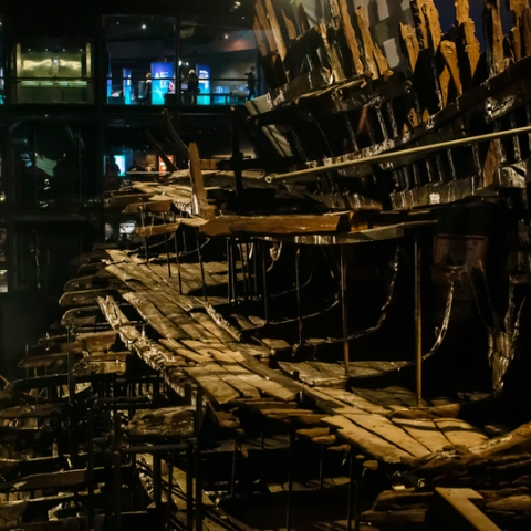 Image taken at a Mary Rose Heritage event