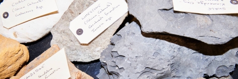Rock sample for school of earth and environmental sciences