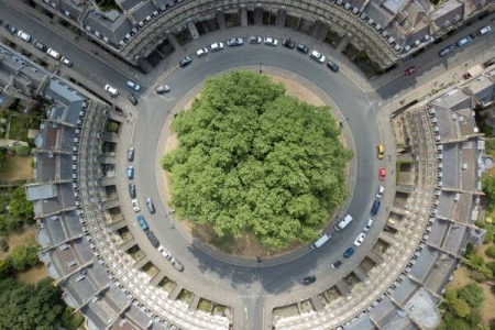 An aerial shot of a tree in the centre of a roundabout in a city centre