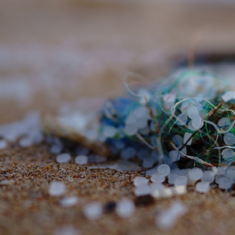 Microplastics and synthetic fibres on a beach
