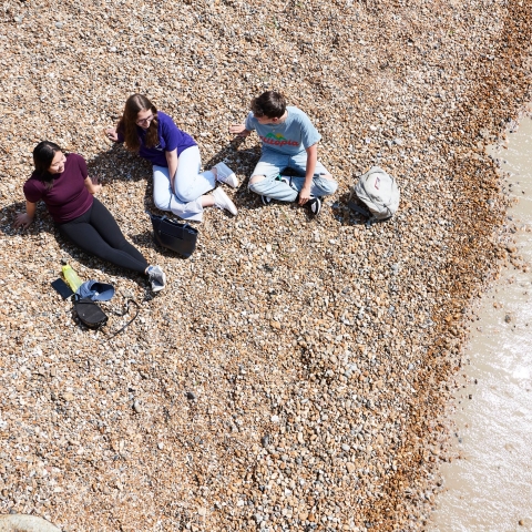 Students on a beach