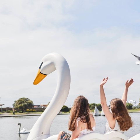 Students riding on Swan pedalo