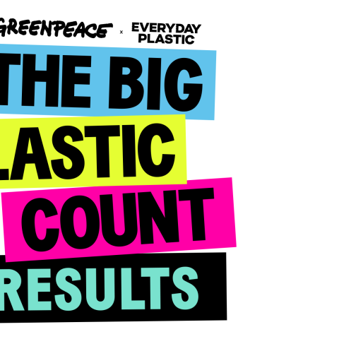 Big Plastic Count results graphic