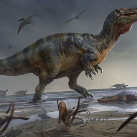 Illustration of White Rock spinosaurid