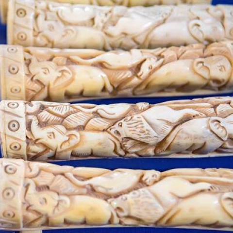 A collection of Ivory carvings