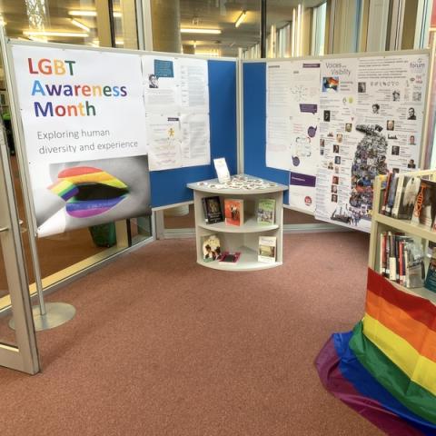 LGBTQ display in library