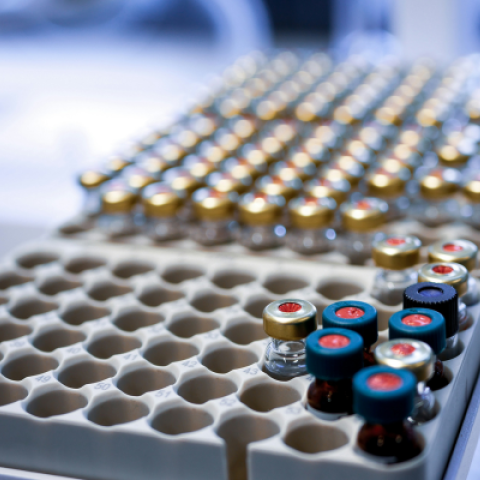 Biobank sample