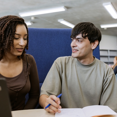 Two students studying together
