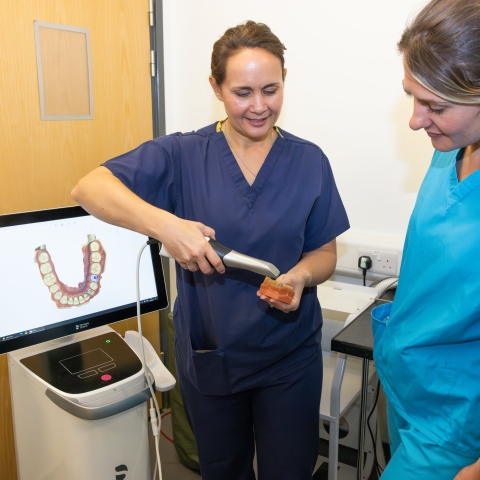 Two women examining teeth molds 
