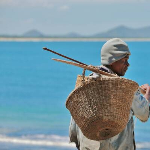 fisherman