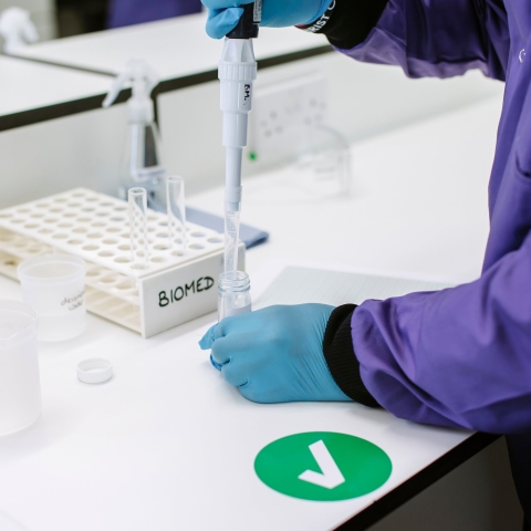 Person preparing a sample with a pipette