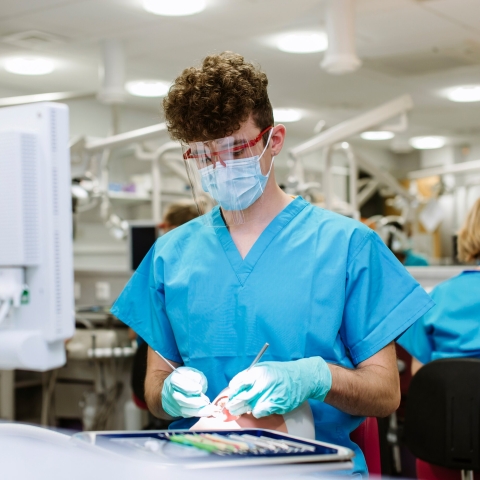 Dental hygiene student in blue scrubs working on a phantom head