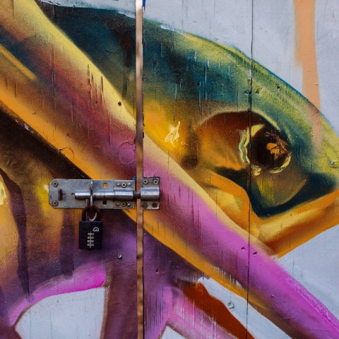 Fish painting on gate