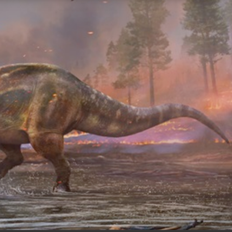 An artist's impression of two dinosaurs fighting