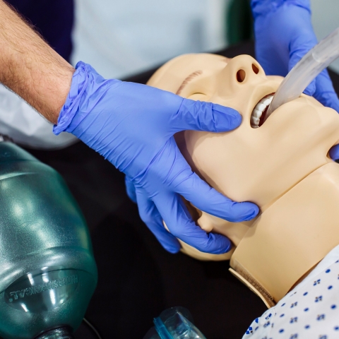 SHSSW photo shoot, November 2018
Nursing, Operating Department Practice (ODP) and Paramedic Science students.