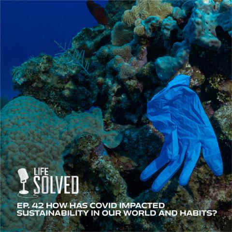 Disposable plastic glove that has found its way onto a reef in the ocean. Life Solved logo and title in the corner.