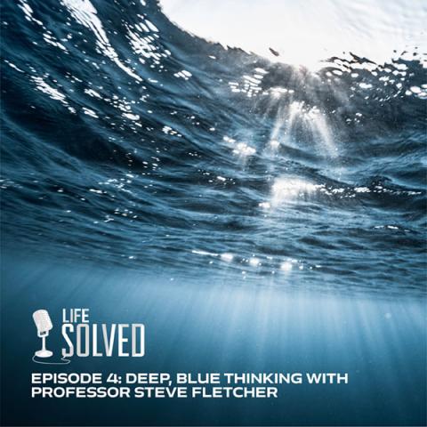 Just below the surface in the ocean, dark blue, light streaming through. Life Solved logo and title.