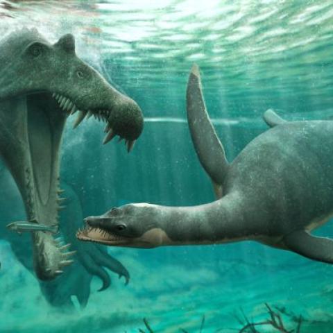 A artist's impression of a plesiosaur dinosaur about to be eaten by a Spinosaurus, the largest predatory dinosaur known.
