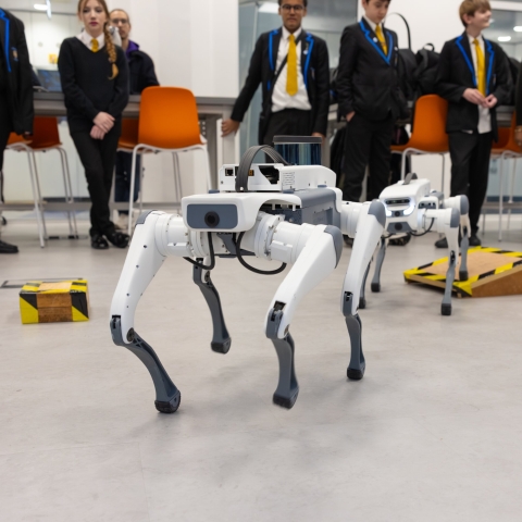 Two bionic robot dogs, designed for applications like robotics research, education, and autonomous navigation testing.