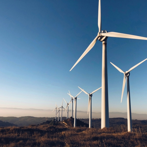 STANDARD LICENSE; PLEASE SEE ADDITIONAL ASSET FOR FULL LICENSE TERMS. 

BY REQUESTING THIS PHOTO, YOU ARE AGREEING TO THESE TERMS.