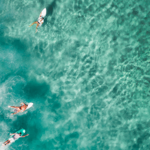 Birds-eye view of group of surfers in the ocean - Photo by Sam Wermut on Unsplash