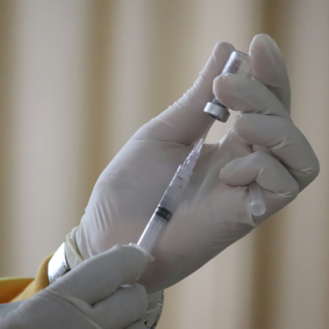 Bird Flu Vaccine