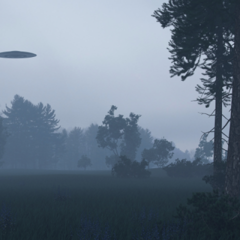 Flying saucer hovering over forest in grey