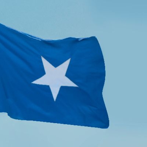 Somalian flag - Photo by aboodi vesakaran on Unsplash