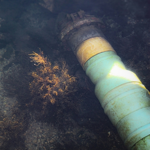 Image of pipe on the sea bed