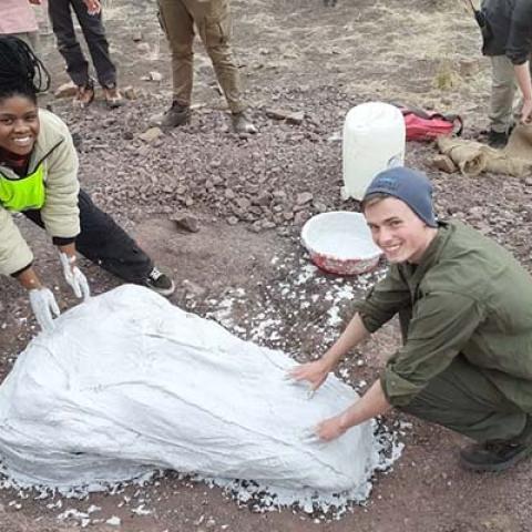Two people covering dinosaur fossils on ground