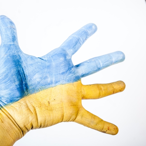 Hand half painted in blue and half in yellow