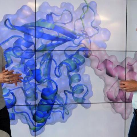 Professors Andy Pickford and John McGeehan discuss new insights from the latest 3D enzyme structure provided by DeepMind