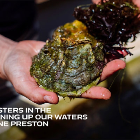 Episode 9: Oysters in the Solent - cleaning up our waters