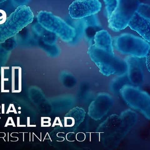 Life solved Bacteria: It's Not All Bad 