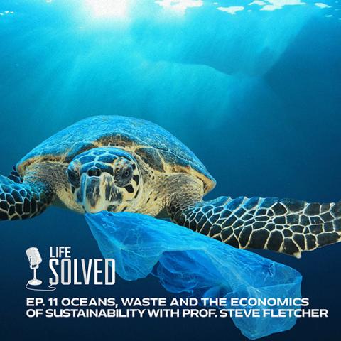 Turtle swimming with plastic bag in its mouth, with Life Solved Logo in corner