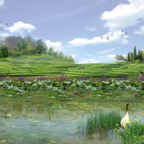 Landscape illustration of a field and pond by Shuk Chiu