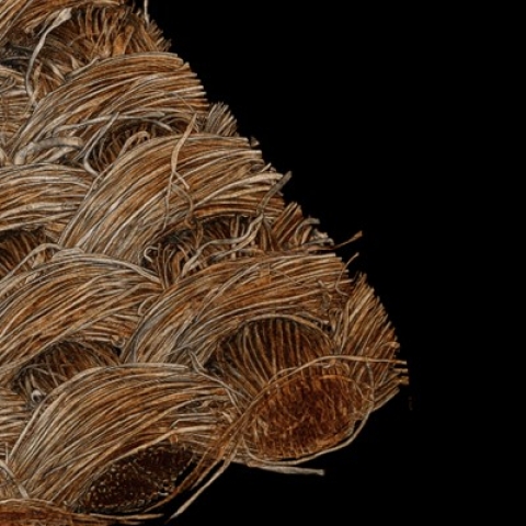 An image of a fragment of textile produced by a 3D scanning, x-ray microscope
