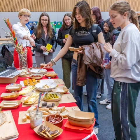 Polish stand with a selection of traditional dishes, for Festival of Cultures