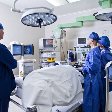 STANDARD LICENSE; PLEASE SEE ADDITIONAL ASSET FOR FULL LICENSE TERMS.