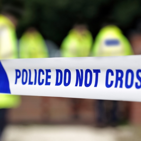 STANDARD LICENSE; PLEASE SEE ADDITIONAL ASSET FOR FULL LICENSE TERMS.