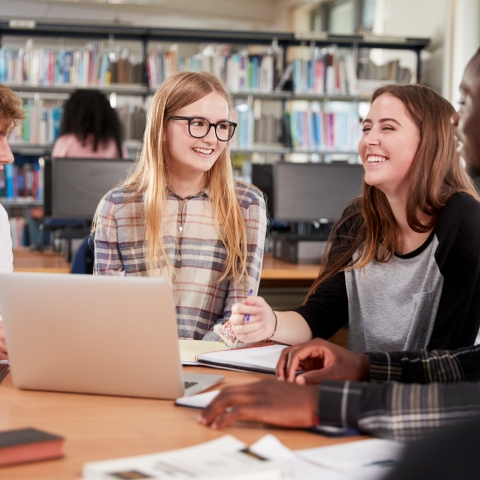 STANDARD LICENSE; PLEASE SEE ADDITIONAL ASSET FOR FULL LICENSE TERMS.