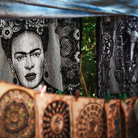 Art of Frida Kahlo - Photo by Tim Mossholder on Unsplash