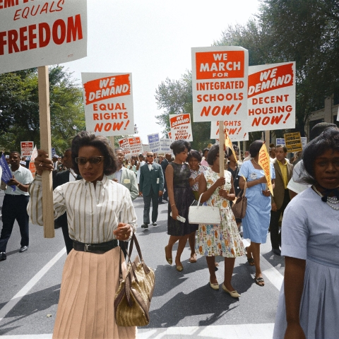 Civil rights march on Washington, D.C. / [WKL]. Original black and white negative by Warren K. Leffler. Taken August 28th, 1963, Washington D.C, United States (@libraryofcongress). Colorized by Jordan J. Lloyd. Library of Congress Prints and Photographs Division Washington, D.C. 20540 USA https://www.loc.gov/pictures/item/2003654393/