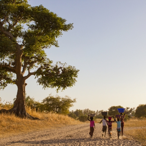 Children walking in arid African landscape