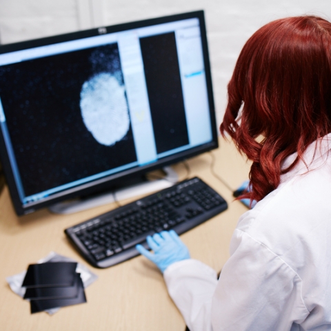 Female forensics worker checking fingerprint on computer screen