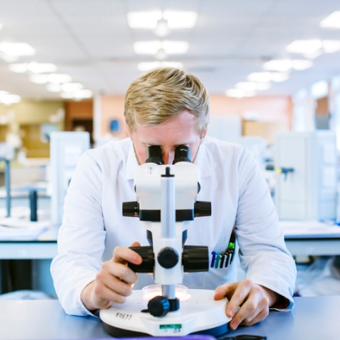 Male student studying in a lab at a microscope