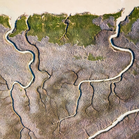 A river delta