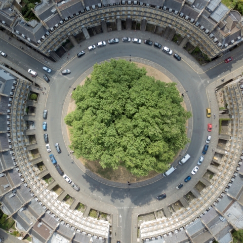 A birds eye view of a circle of houses surrounding a cluster of trees