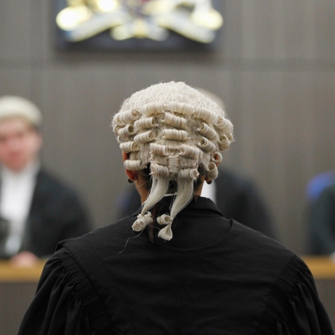 The back of a barrister in court wearing a peruke